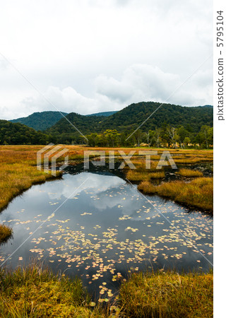 秋葉Ozegahara和Ikutan 秋葉Ozegahara和Ikutan 5795104