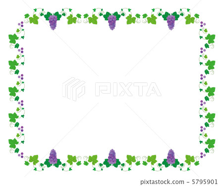 Grape frame - Stock Illustration [5795901] - PIXTA