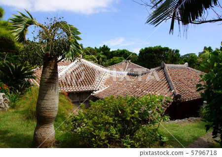 Nakamura家庭住宅屋頂 5796718