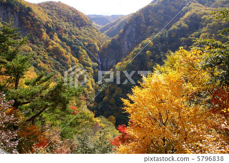 志賀高原高中秋葉。 5796838