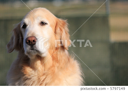 Facial expression in the sun Facial expression in the sun 5797149
