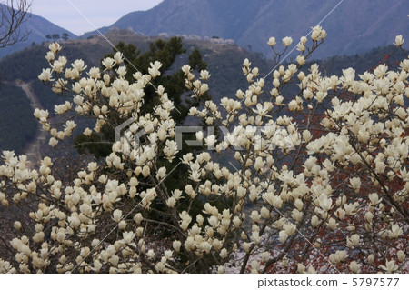Takeda Castle Ruins and Miscellaneous Takeda Castle Ruins and Miscellaneous 5797577
