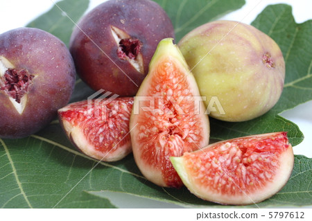 Ripe fig 5797612