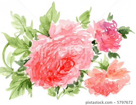 毛茛屬植物 花朵 花 5797672