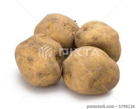 Freshly harvested potatoes white background Freshly harvested potatoes white background 5798116