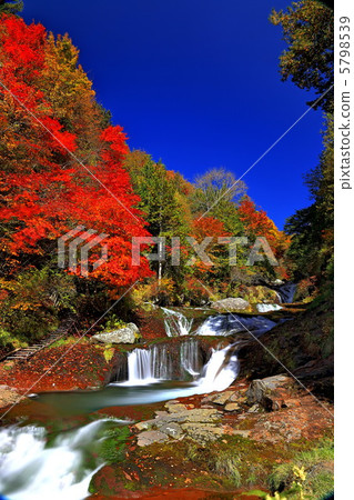 Leaves of autumn leaves hidden waterfall Leaves of autumn leaves hidden waterfall 5798539