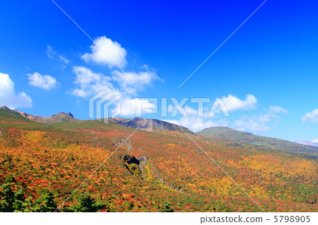 Adatarayama秋葉 Adatarayama秋葉 5798905