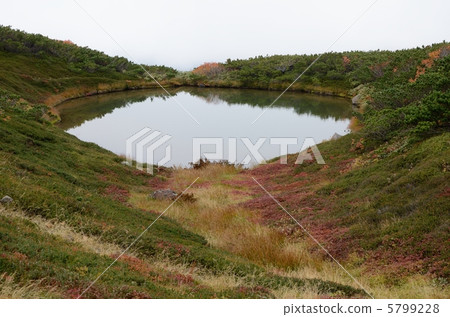 Asahidake滿月沼澤 Asahidake滿月沼澤 5799228