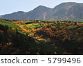 Autumn leaves near the former crater of Hokkaido Kamifurano Ansei 5799496