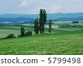 Hokkaido Biei-cho Hokudai district Earth 5799498
