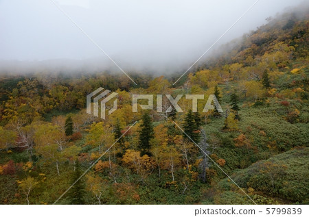 Asahidake，Tenjinagahara泥潭 5799839