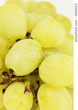 羅薩里奧比安科 5800054