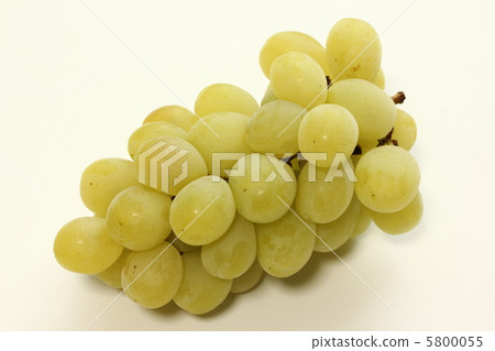 羅薩里奧比安科 5800055