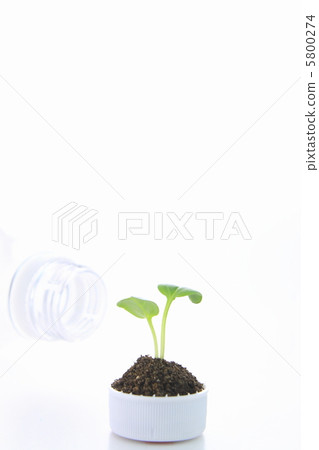 PET bottle shoot cap 5800274