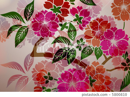 Graphic pattern 5800810