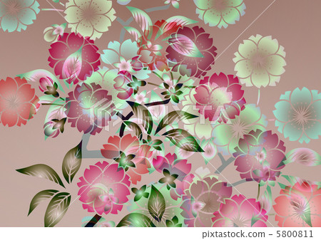 Graphic pattern 5800811