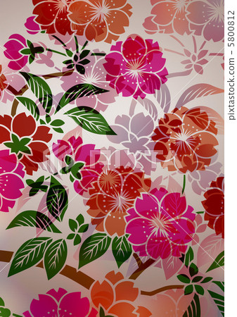 Graphic pattern 5800812