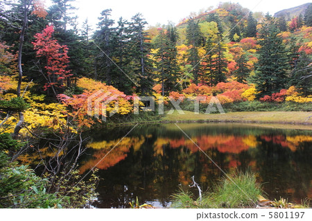 A view of the autumn leaves of the Daisetsu Takahara Onsen A view of the autumn leaves of the Daisetsu Takahara Onsen 5801197