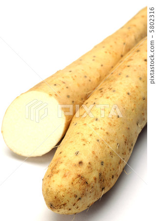 一個土豆 5802316