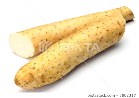 一個土豆 5802317