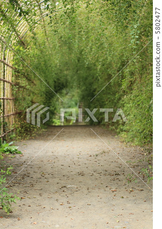 A tunnel A tunnel 5802477