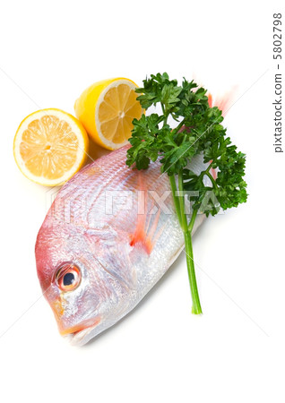 Renkodai Renkodai 5802798