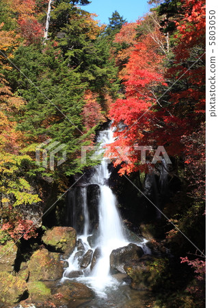 皇冠瀑布 5803050