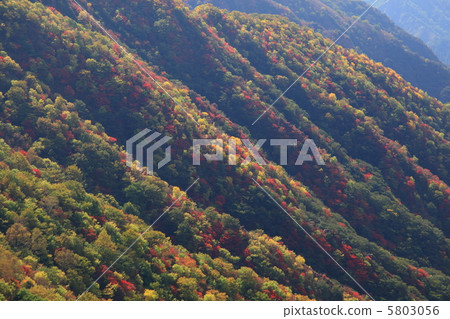 Okuhiko in autumn 5803056