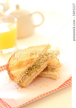 Alfalfa and chicken ham's hot sandwich 5803227