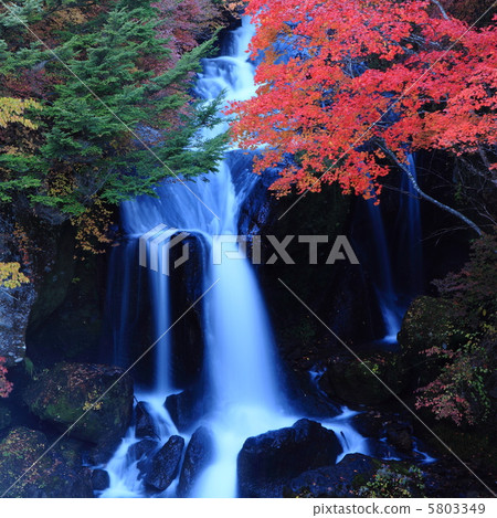 Crown falls autumn leaves Crown falls autumn leaves 5803349