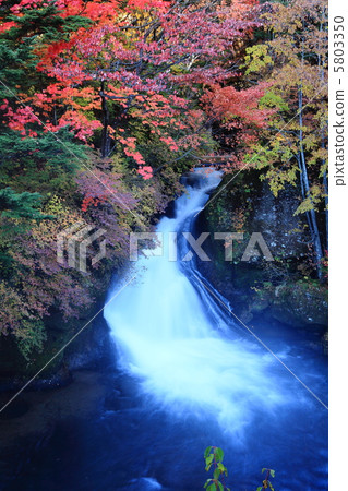 Crown falls autumn leaves 5803350