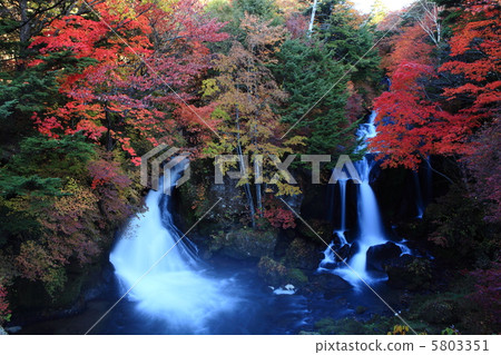 Crown falls autumn leaves Crown falls autumn leaves 5803351
