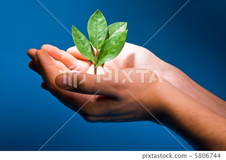 Theme of growth Theme of growth 5806744