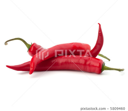Chili pepper Chili pepper 5809460