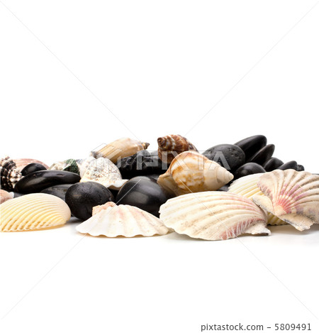 Beach elements background Beach elements background 5809491