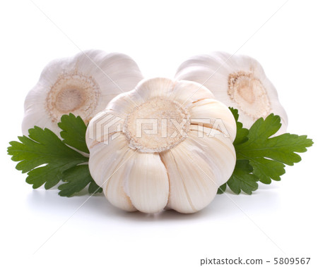 garlic bulb garlic bulb 5809567