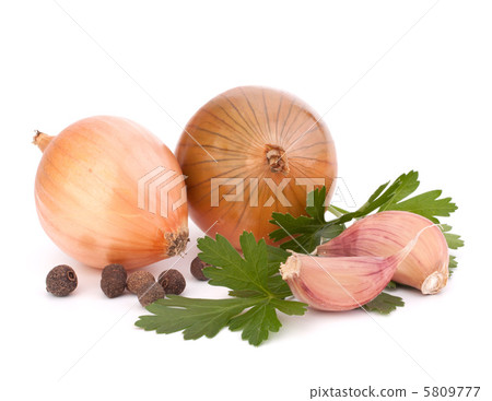 Onion and garlic clove Onion and garlic clove 5809777