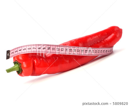 sexy pepper isolated on white background sexy pepper isolated on white background 5809820