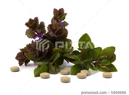herbal medicine isolated on white background 5809998