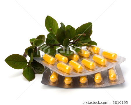 herbal medicine isolated on white background herbal medicine isolated on white background 5810195