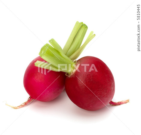 .Small garden radish  . 5810445