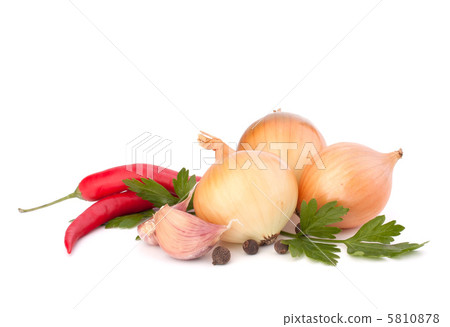 Onion and garlic clove Onion and garlic clove 5810878
