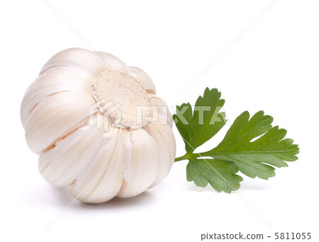 garlic bulb garlic bulb 5811055