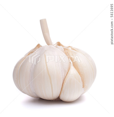 garlic bulb 5811695
