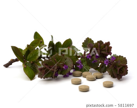 herbal medicine isolated on white background 5811697
