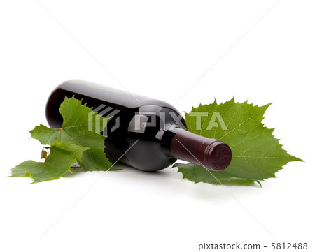 red wine bottle red wine bottle 5812488