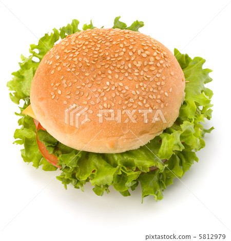 Junk food hamburger Junk food hamburger 5812979