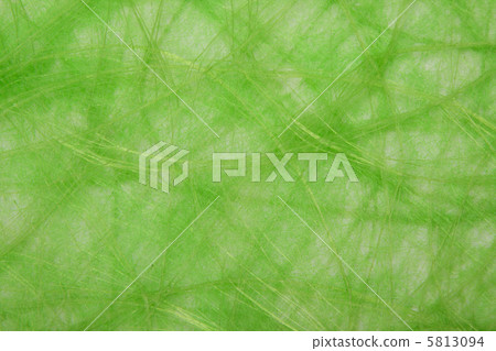 Natural green sisal background 5813094