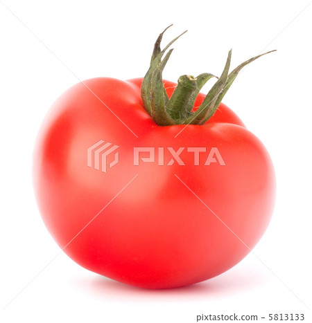 Tomato vegetable 5813133