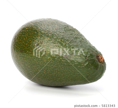 avocado isolated on white background 5813343